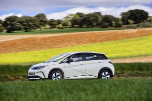BYD Dolphin on the road — official BYD press image