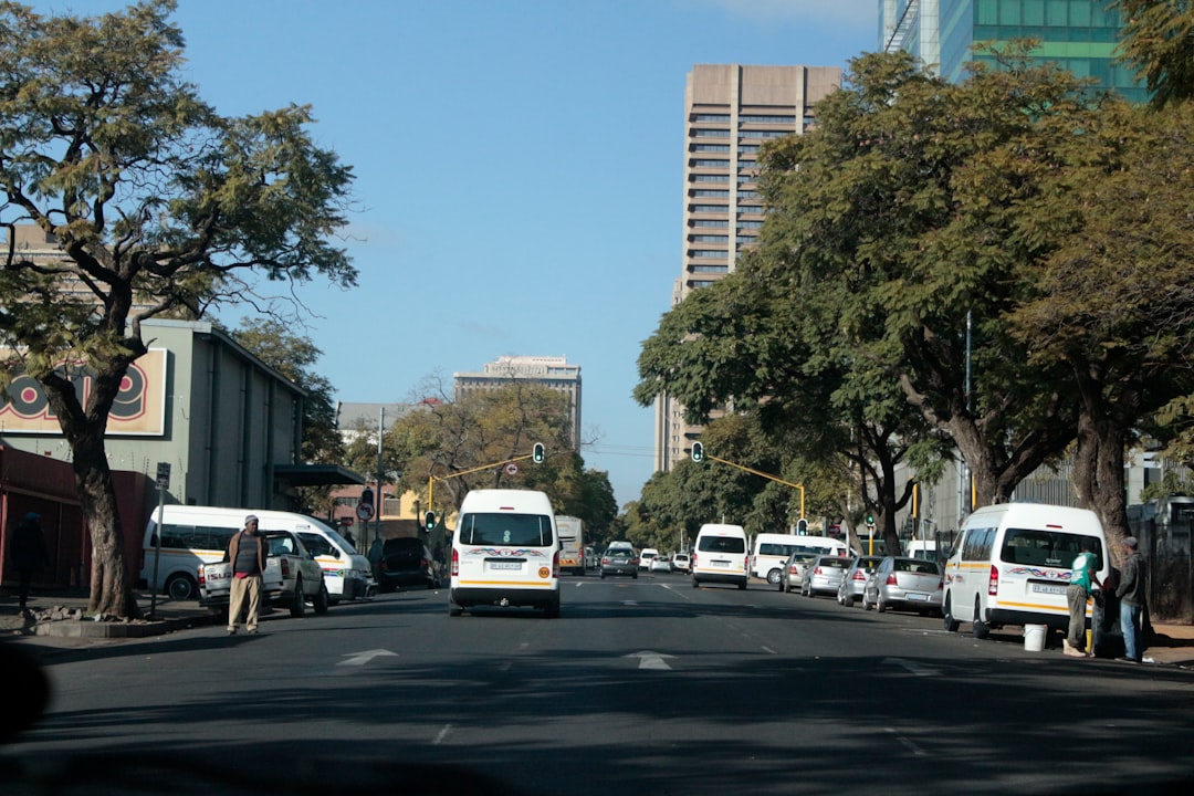 Tree-lined urban street with traffic and high-rise buildings in the background