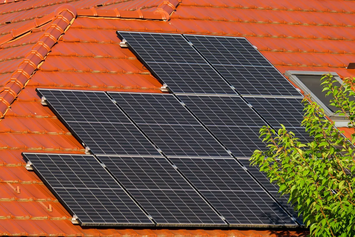 Multiple black solar panels mounted on a residential roof with red tiles and climbing ivy visible on the right side.