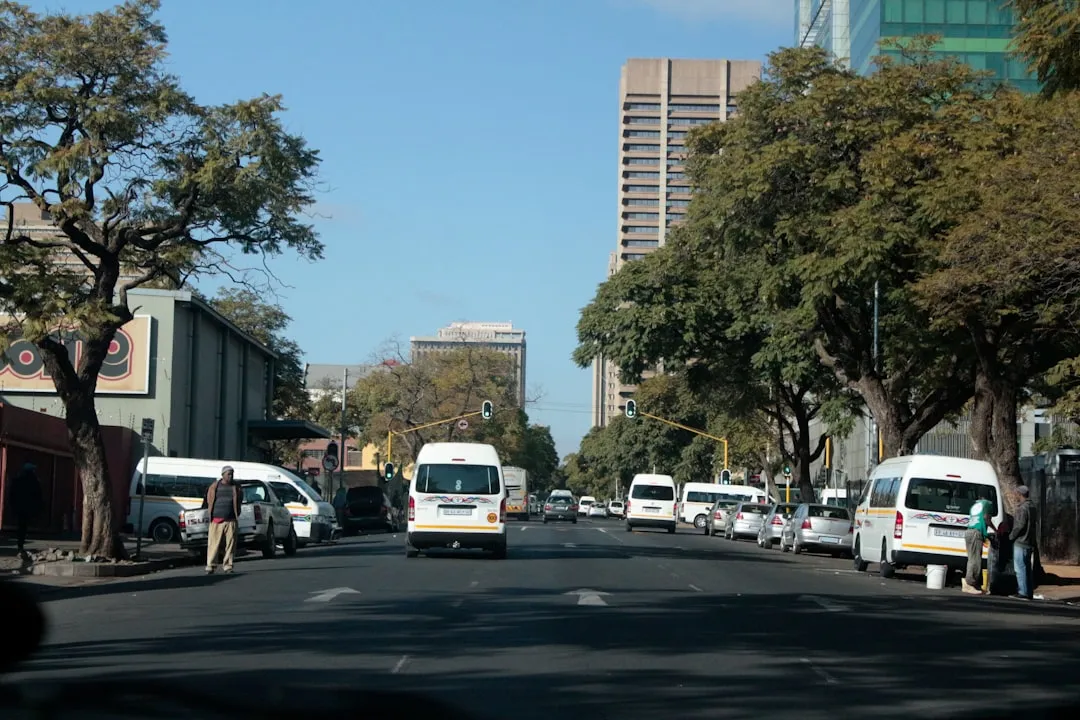 Tree-lined urban street with traffic and high-rise buildings in the background